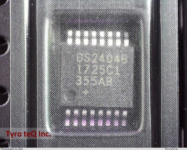 DS2404B+