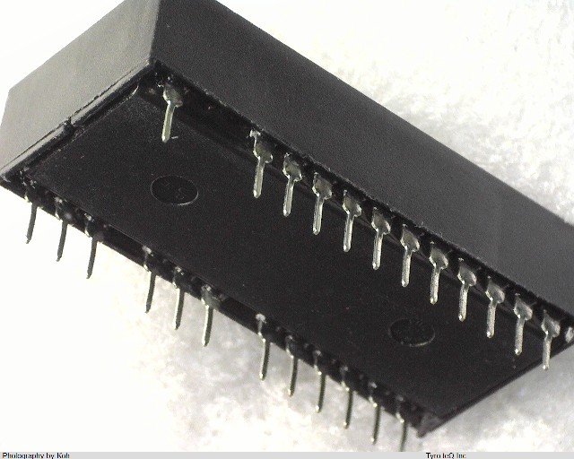 DS1511W