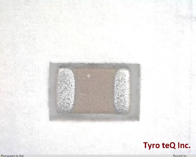 ECJ2VB1E104K