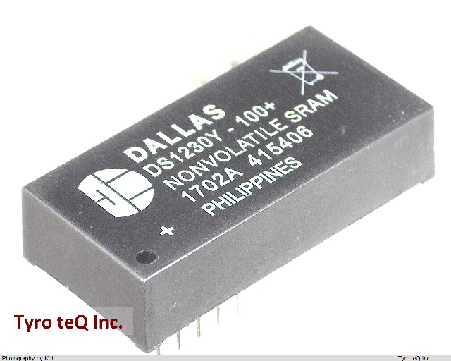 DS1230Y-100+