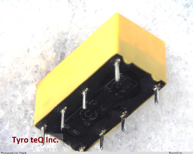 DS2E-M-DC24V