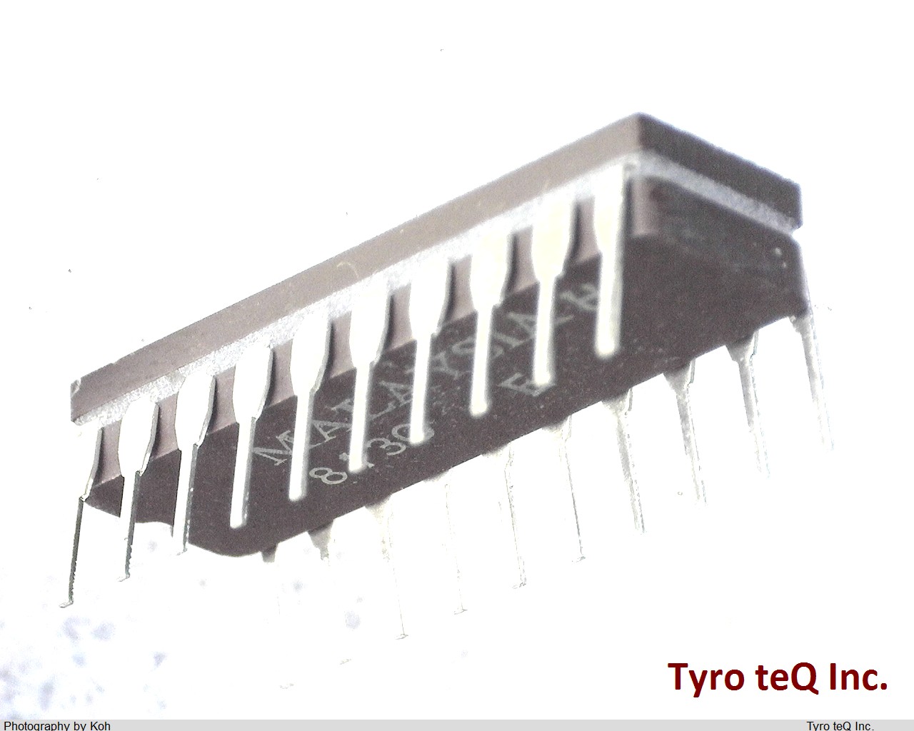 D8283