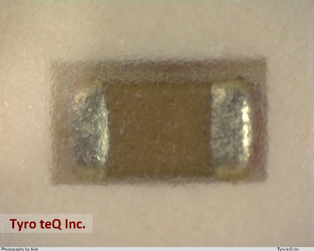 ECJ1VB0J106M