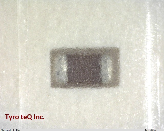 ECJ0EB1H102K