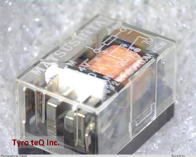 DS1-M-DC24V