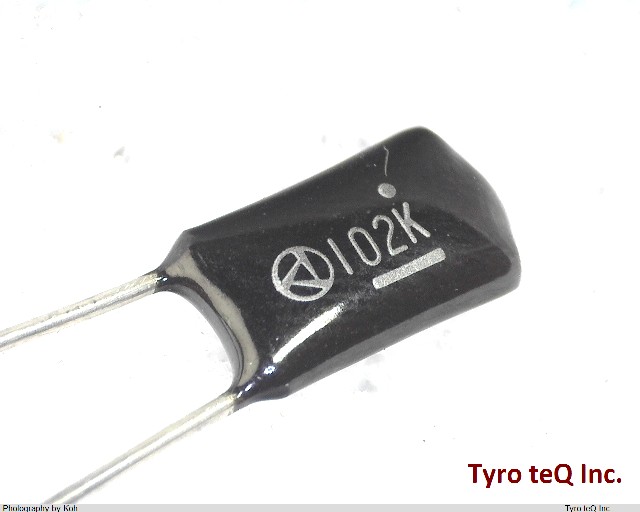 C2SEB2A102K