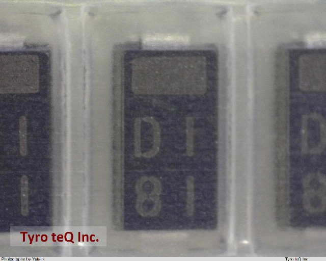 EC10DS1-TE12L