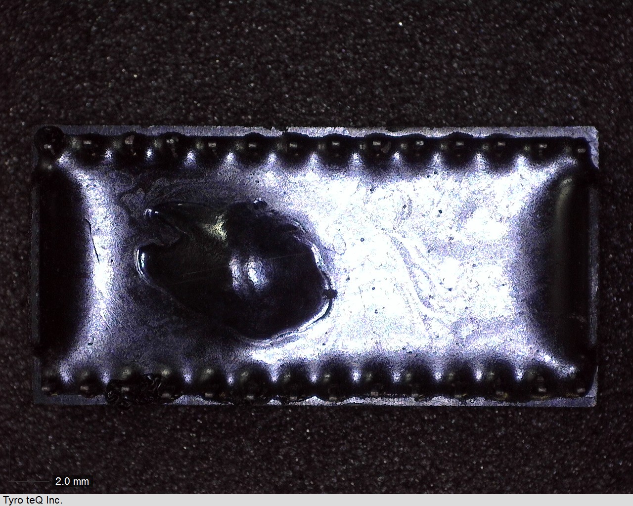 DS1216C