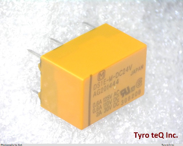 DS1E-M-DC24V