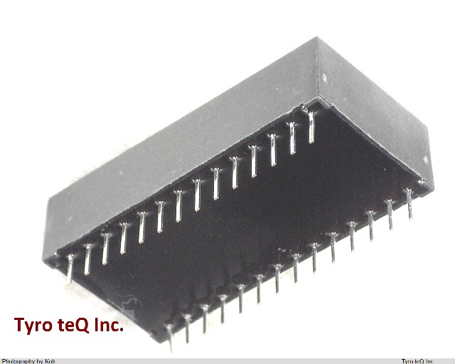 DS1230Y-100+
