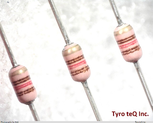ERDS2TJ121V