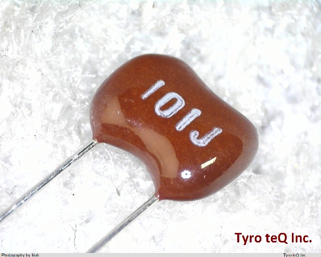 DM10C101J5