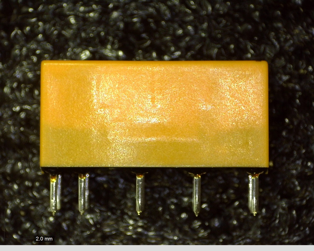DS2E-ML2-DC24V