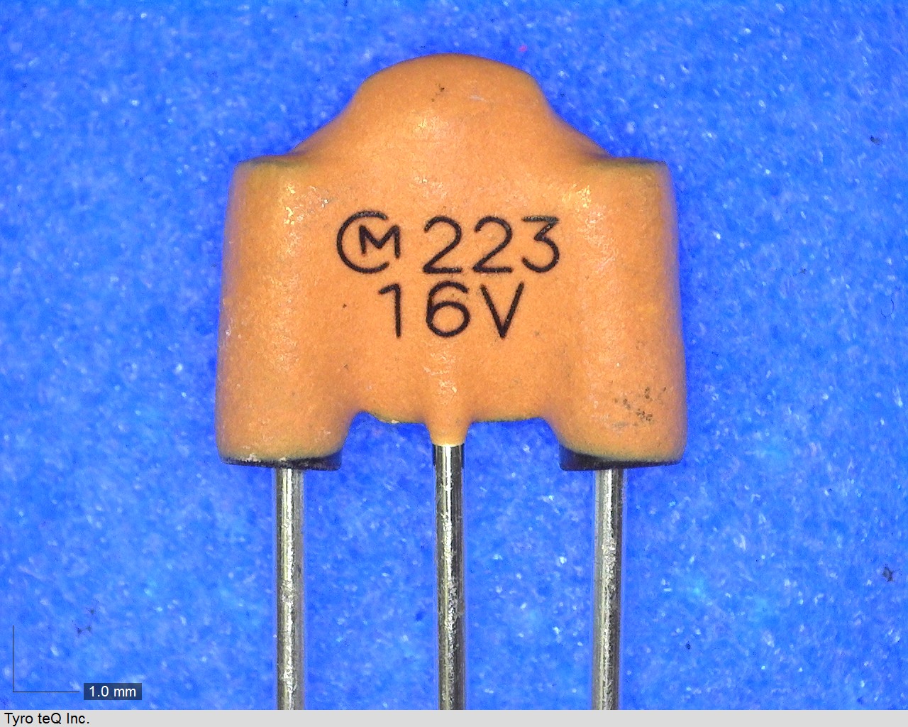 DSS6NF31C223Q55B