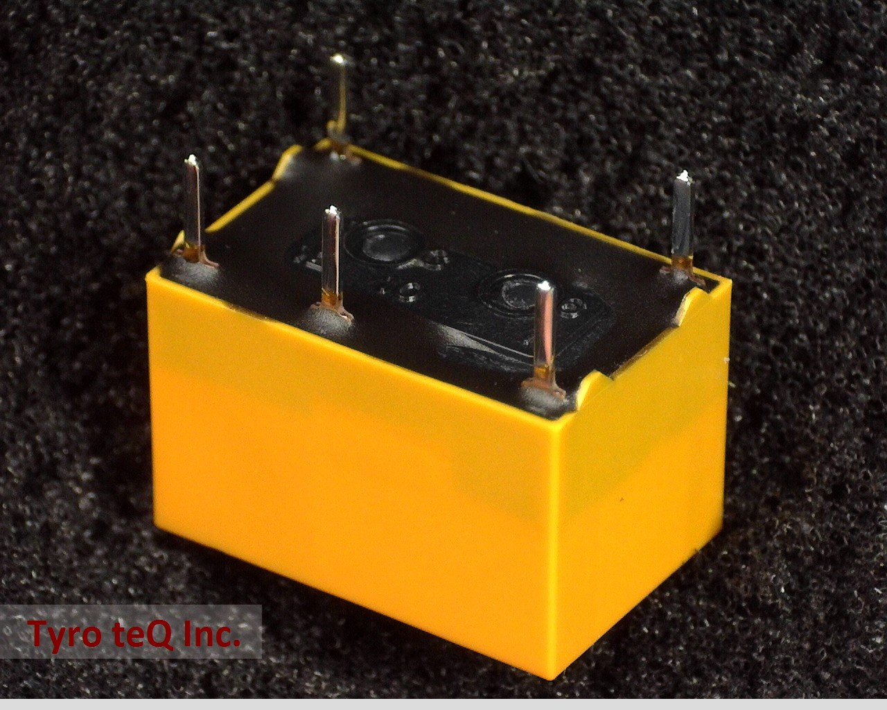 DS1E-S-DC24V