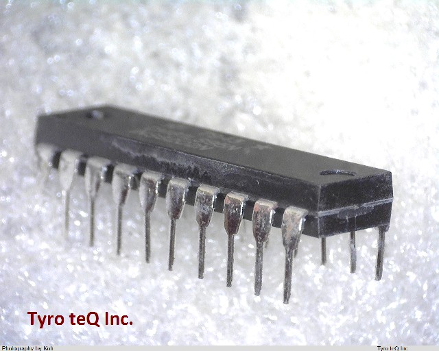 DM81LS95N