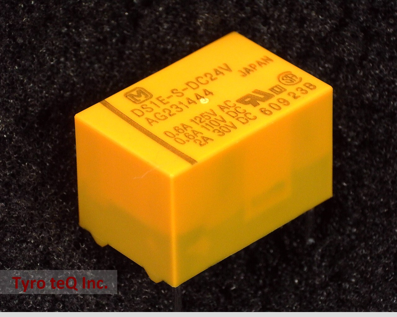 DS1E-S-DC24V
