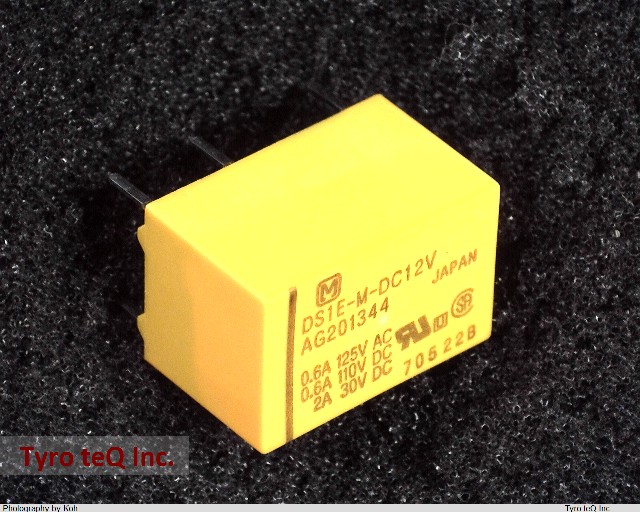 DS1E-M-DC12V