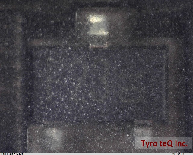 DTD143EKT146