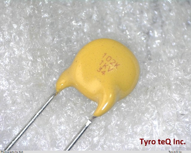 ECKA3A102KBP