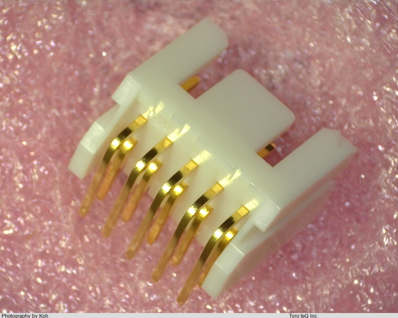 DF1B-10DP-2.5DS(01)