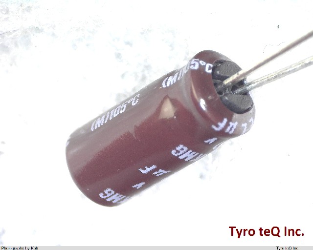 EKMG250ELL220ME11D