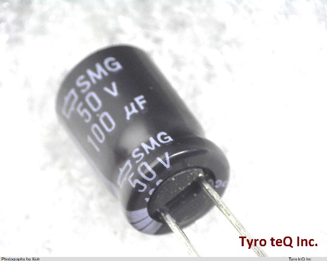 ESMG500ELL101MHB5D