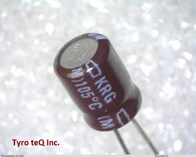 EKRG250ELL220ME07D