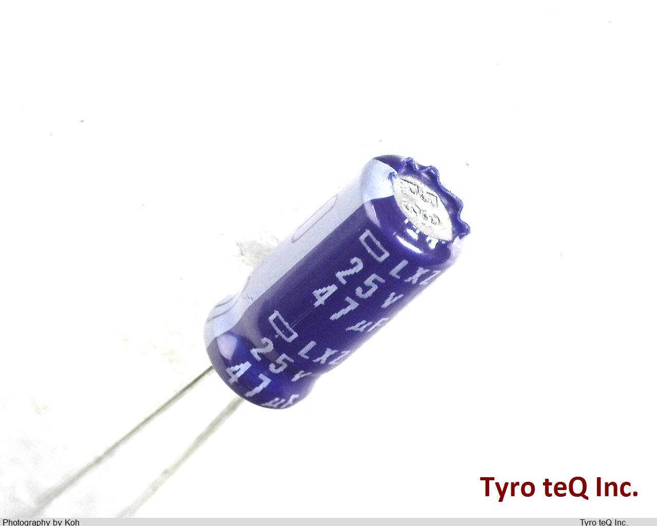 ELXZ250ELL470MEB5D