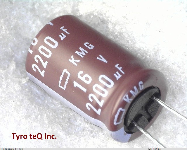 EKMG160ELL222MK20S