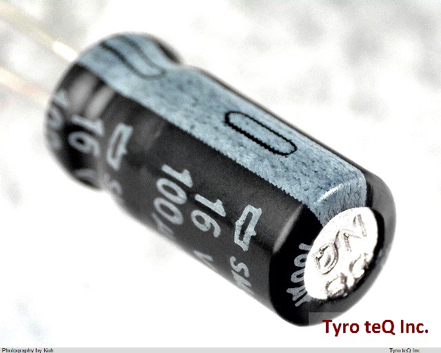 ESMG160ELL101ME11D
