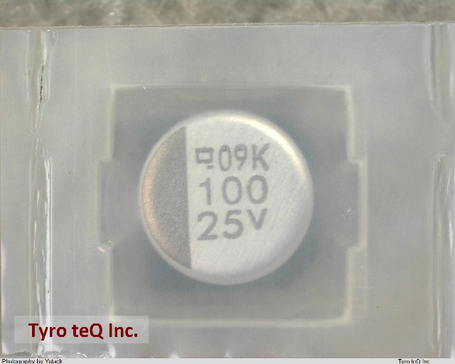 EMVK250ADA101MHA0G