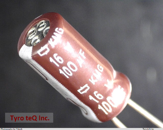 EKMG160ELL101ME11D