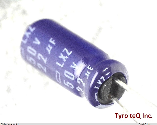 ELXZ500ELL220MEB5D