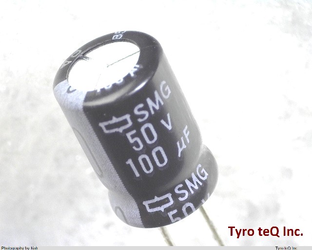 ESMG500ELL101MHB5D