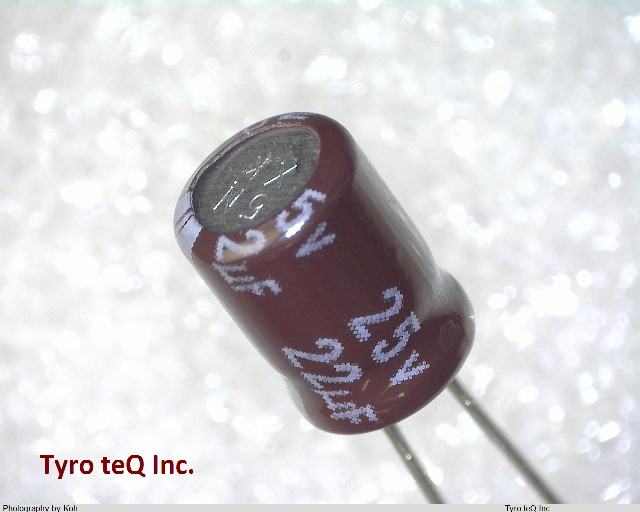 EKRG250ELL220ME07D