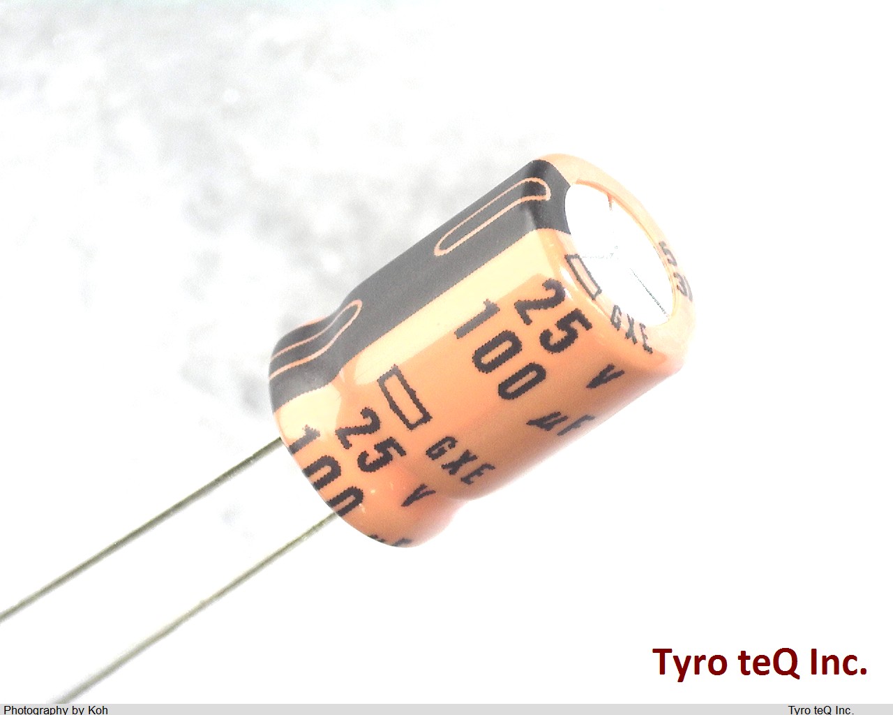 EGXE250ELL101MH12D