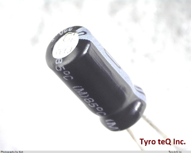 ESMG100ELL221ME11D