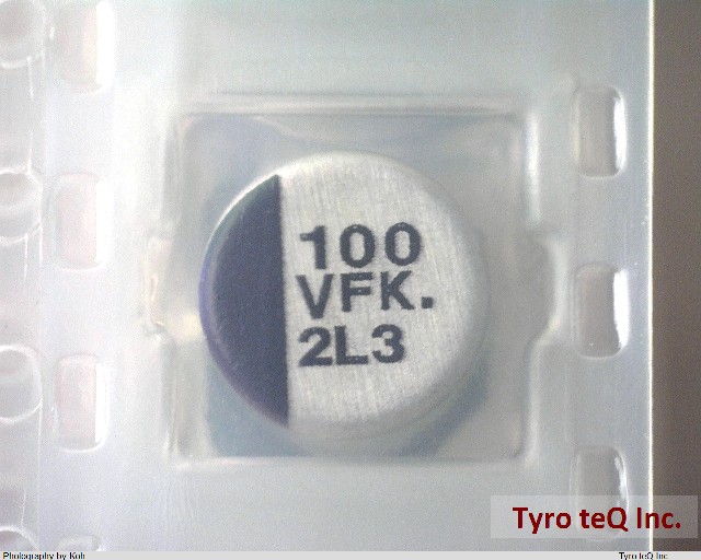 EEEFK1V101XP