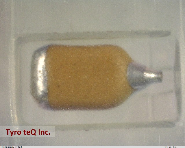 F951D155MSAAQ2