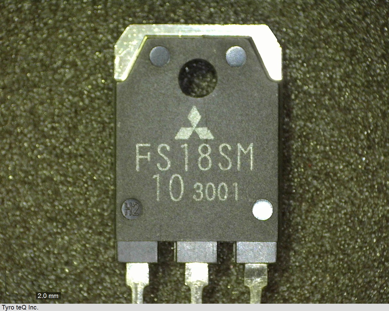 FS18SM-10
