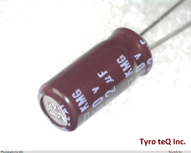 EKMG250ELL220ME11D