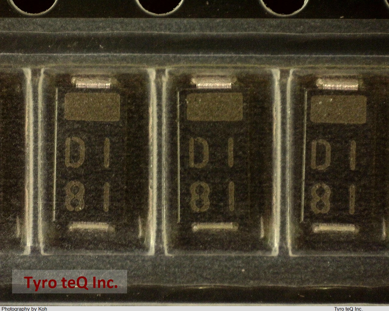 EC10DS1-TE12L