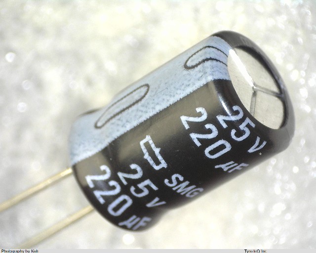 ESMG250ELL221MHB5D