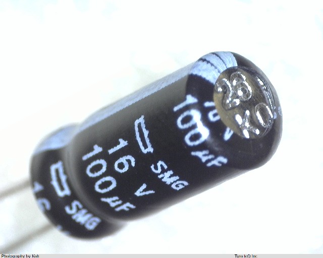 ESMG160ELL101ME11D