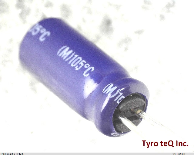 ELXZ500ELL220MEB5D