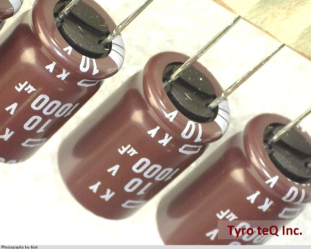 EKY-100ETD102MJ16S