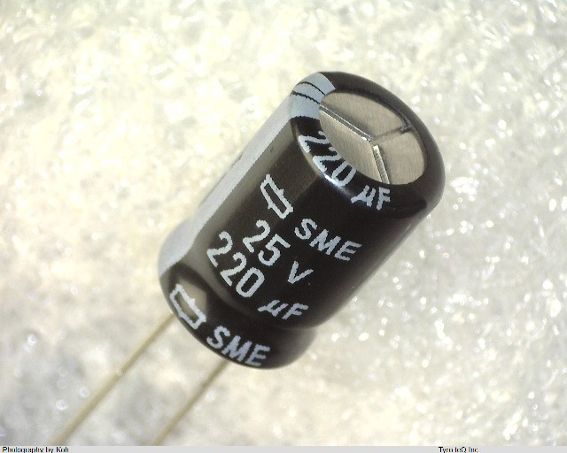 ESME250ELL221MHB5D