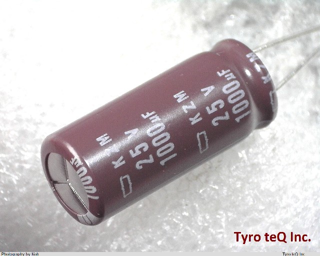 EKZM250ELL102MJ25S