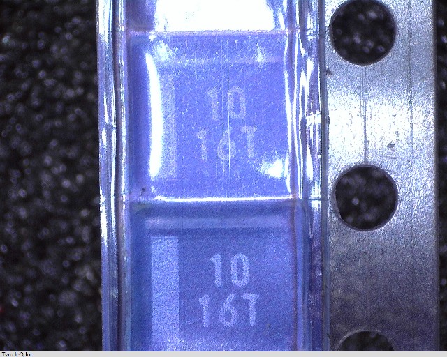 ESVB21C106M